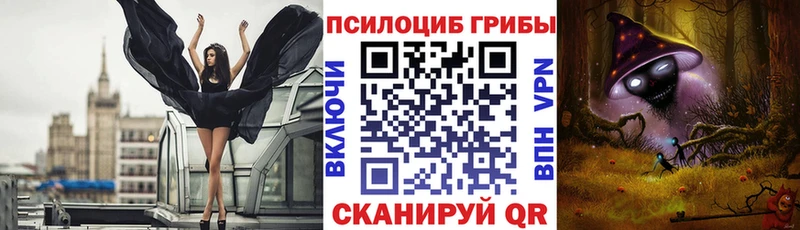 где продают   Петушки  Псилоцибиновые грибы MAGIC MUSHROOMS 