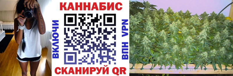 shop как зайти  Петушки  Бошки Шишки Amnesia 